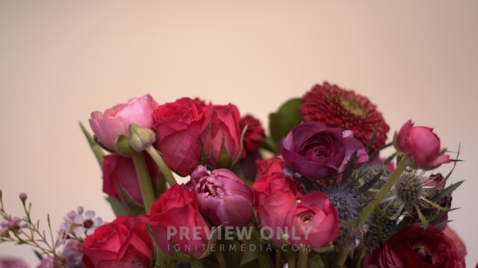 Spring_Floral_Flowers_Low_HD.jpg