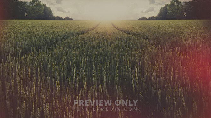 The_Comforter_Has_Come_16x9-BACKGROUND#preset=tg_bg.jpg
