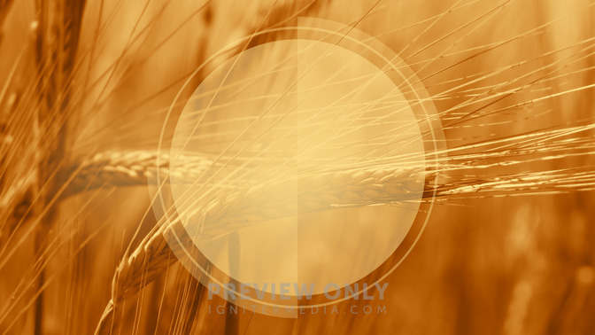 Thanksgiving_16x9-TITLE-3#preset=tg_title3.jpg