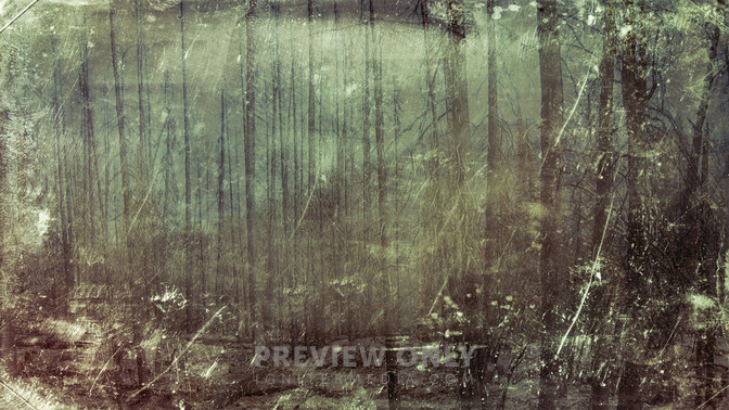 The_Danger_of_a_Cynic_16x9-TITLE-3#preset=tg_title3.jpg