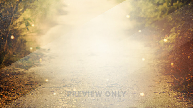 Walk_In_The_Light_16x9-CONTENT-3#preset=tg_alt3.jpg