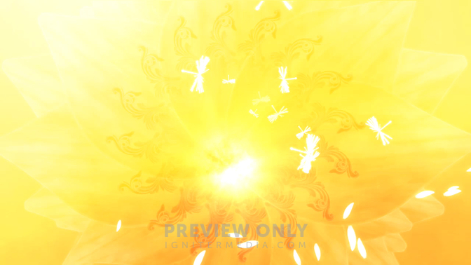 Yellow Flowers.jpg