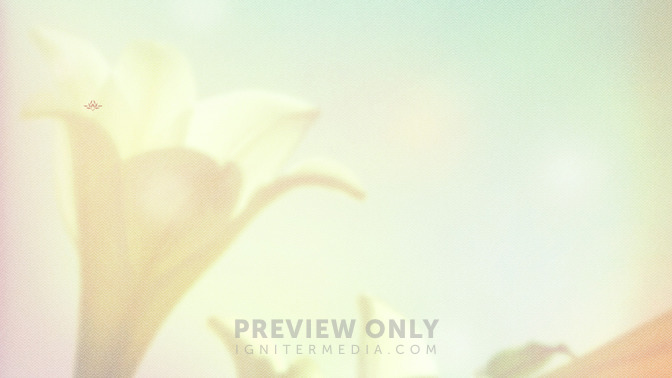 Lilies_-_Easter_Sunday_16x9-CONTENT-3#preset=tg_alt3.jpg