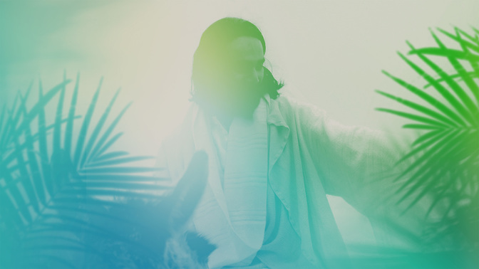 Palm-Goodbye-WIDE#preset=tg_title3.jpg
