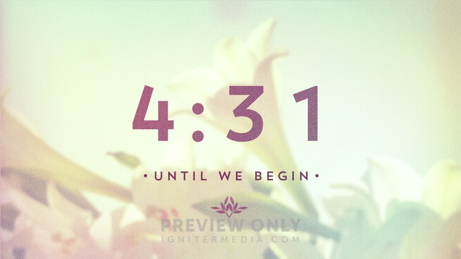 Lillies_Countdown_HD.jpg