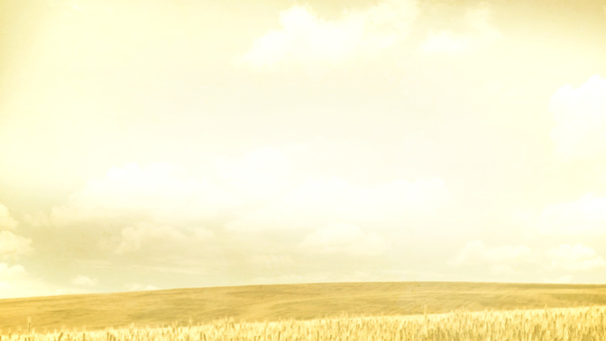 Grassy_Meadow-God_Bless_WIDE-CONTENT-3#preset=tg_alt3.jpg