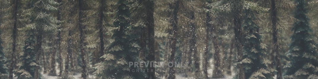 Winter_Wonderland_6_UW_SD.jpg