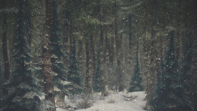 Winter_Wonderland_7_HD.jpg