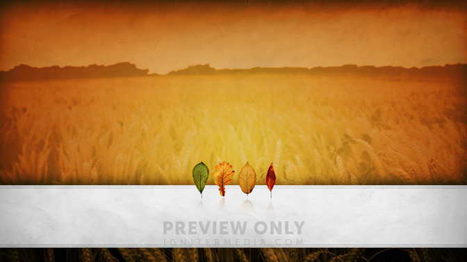 See_You_Soon_16x9-CONTENT-3#preset=tg_alt3.jpg
