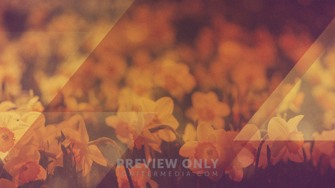 Morning_Flowers_-_God_Bless_16x9-CONTENT-3#preset=tg_alt3.jpg