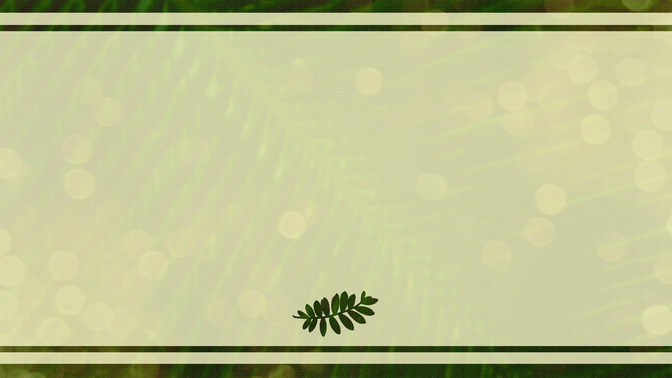 Palm_Bokeh_-_Palm_Sunday_16x9-BACKGROUND#preset=tg_bg.jpg