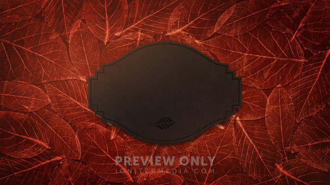 Fancy_Leaves_-_Thank_You_16x9-TITLE-3#preset=tg_title3.jpg