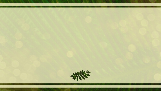 Palm_Bokeh_-_Welcome_16x9-BACKGROUND#preset=tg_bg.jpg