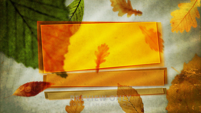 See_You_Next_Week_16x9-TITLE-3#preset=tg_title3.jpg