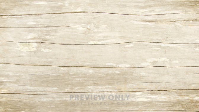 Rejected_at_Home_16x9-BACKGROUND#preset=tg_bg.jpg