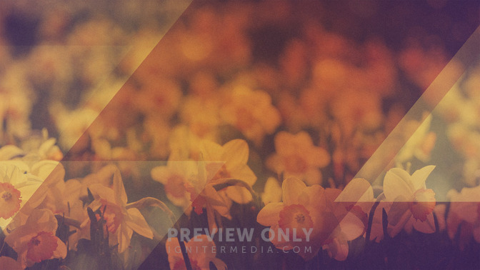 Morning_Flowers_-_Contact_Us_16x9-CONTENT-3#preset=tg_alt3.jpg