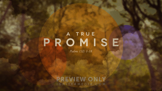 A_True_Promise_16x9-TITLE-1#preset=tg_title1.jpg