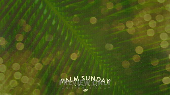 Palm_Bokeh_-_Palm_Sunday_16x9-CONTENT-1#preset=tg_alt1.jpg