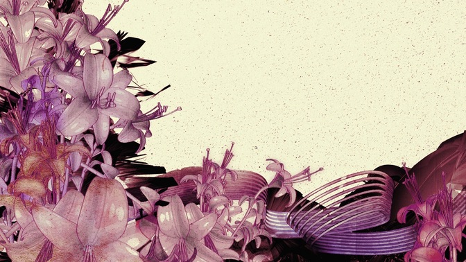 Traced_Flowers3_16x9.jpg