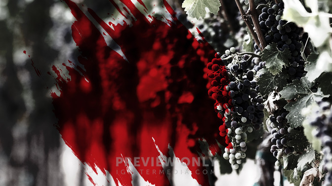 Rebellion_in_the_Vineyard_16x9-TITLE-3#preset=tg_title3.jpg