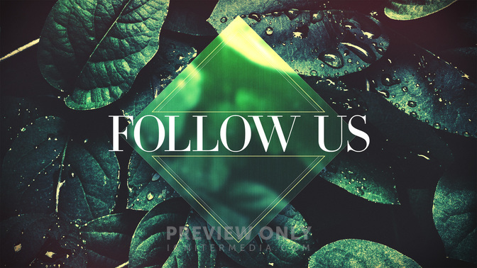 Spring_Dew-Follow_Us_WIDE-TITLE-2#preset=tg_title2.jpg