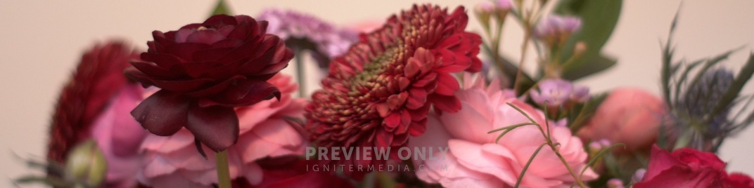 Spring_Floral_Flowers_Low_UW_SD.jpg