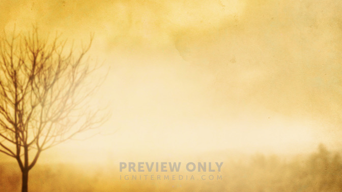 The_Barren_Fig_Tree_16x9-CONTENT-3#preset=tg_alt3.jpg