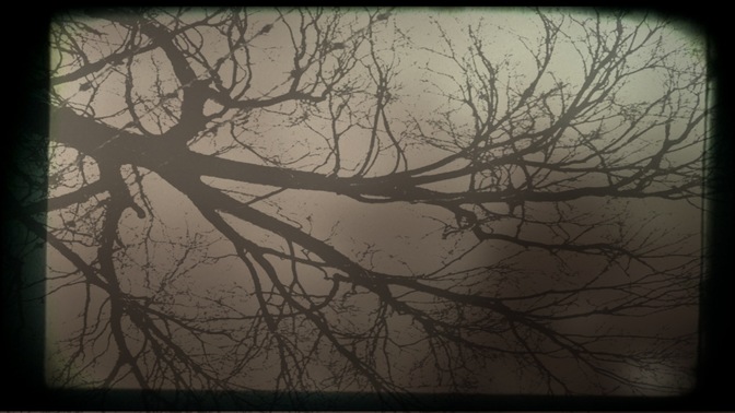 branch 2