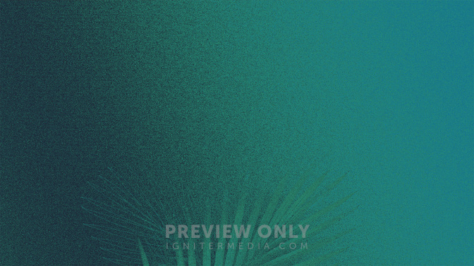 Gradient_2_Easter Gradient_Alt2_Palm_Welcome_WIDE#preset=tg_alt2.jpg