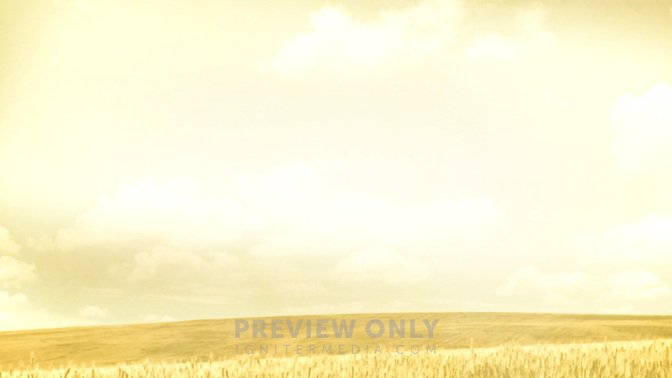 Grassy_Meadow-God_Bless_WIDE-CONTENT-3#preset=tg_alt3.jpg