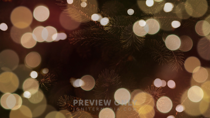 What's Your Focus_TT3_Events_WIDE#preset=tg_title3.jpg