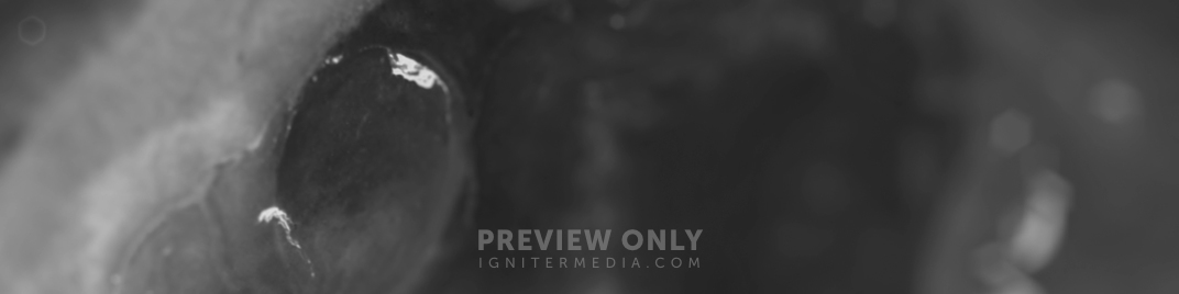 Space_1920x480_BW.jpg