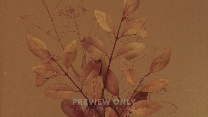 Autumn Nature_TT3_Main_WIDE#preset=tg_title3.jpg