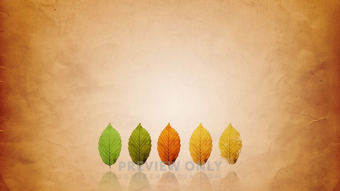 Ready_To_Die_16x9-BACKGROUND#preset=tg_bg.jpg