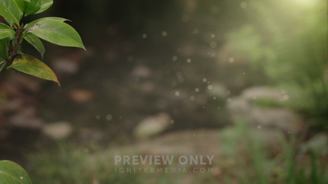 Spring_Flora_-_Stream_16x9-TITLE-1#preset=tg_title1.jpg