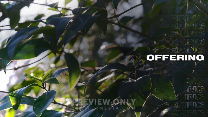 Offering-WIDE#preset=tg_alt1.jpg