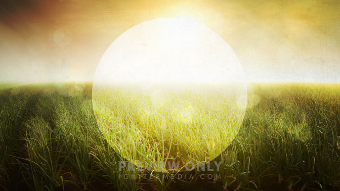 Welcome_This_Easter_16x9-TITLE-3#preset=tg_title3.jpg