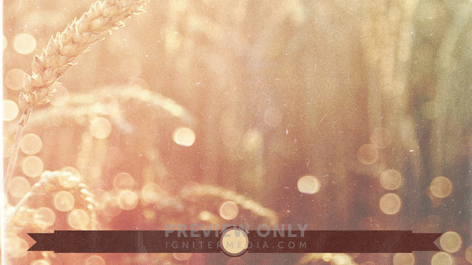 Wheat_Field_-_Welcome_To_Church_16x9-BACKGROUND#preset=tg_bg.jpg