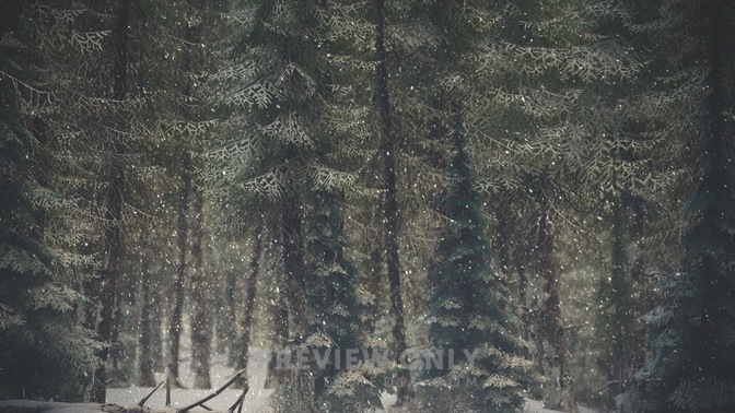 Winter_Wonderland_1_HD.jpg