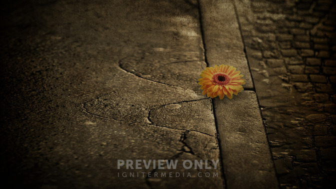 God_in_Unexpected_Places_16x9-TITLE-3#preset=tg_title3.jpg