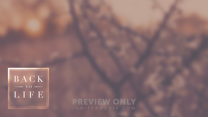 Back_To_Life_16x9-CONTENT-2#preset=tg_alt2.jpg
