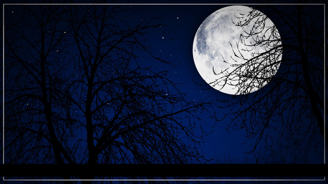 La_Oscuridad_de_la_Traicin_16x9-TITLE-3#preset=tg_title3.jpg