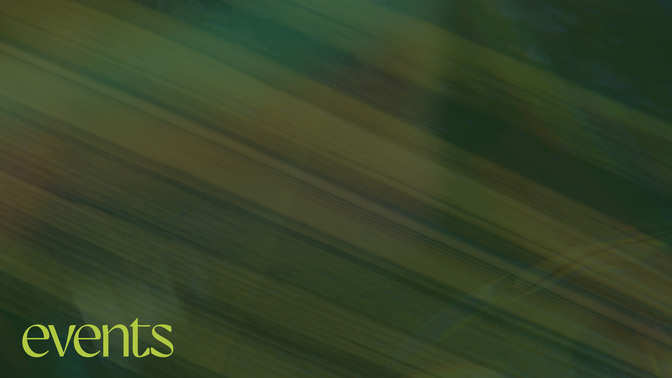 Easter Textures_Easter Texture_Alt1_Palm_Events_WIDE#preset=tg_alt1.jpg