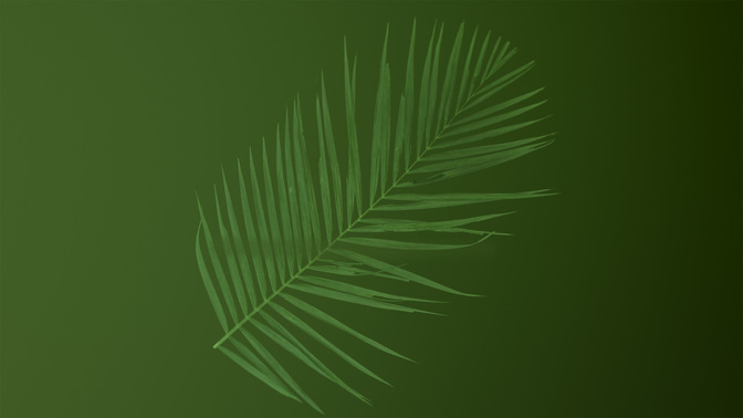 PalmWelcome-WIDE#preset=tg_title3.jpg