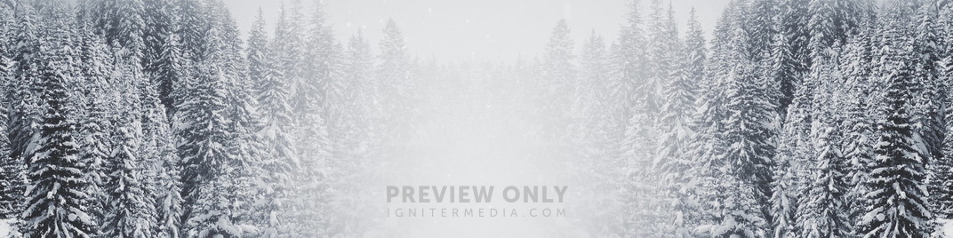 Majestic_Snow_Forest_MS_1920x480.jpg