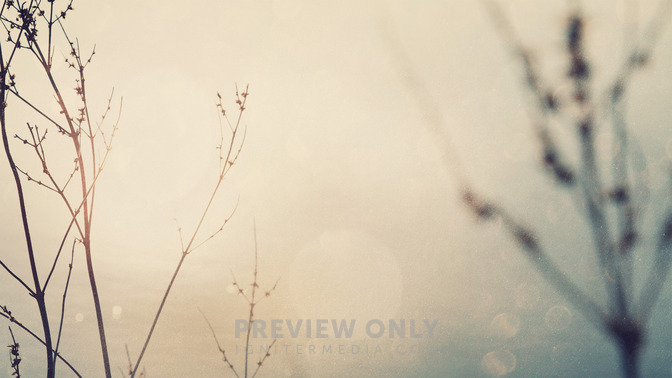 Lord__Messiah_16x9-TITLE-3#preset=tg_title3.jpg
