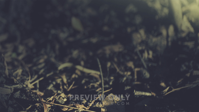Life_And_Death_WIDE-BACKGROUND#preset=tg_bg.jpg