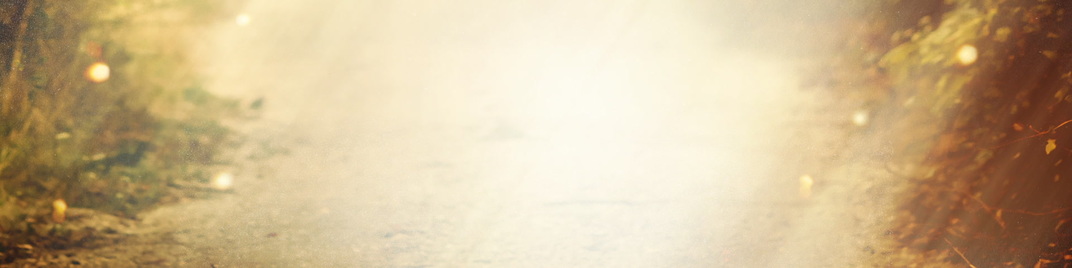 Light_Road_MS_1920x480.jpg