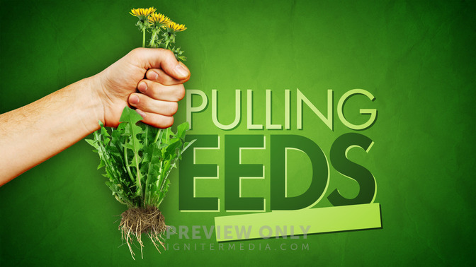 Pulling_Weeds_16x9-TITLE-2#preset=tg_title2.jpg