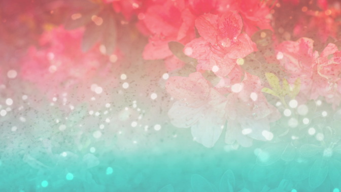 Pink_And_Blue_Flowers_HD.jpg